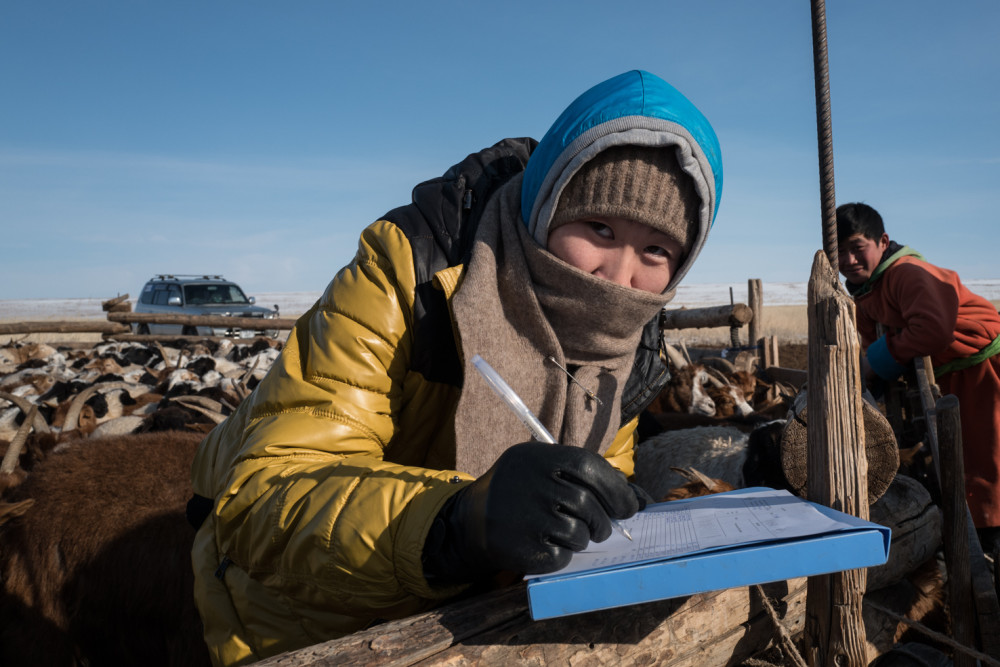 Snižování znečištění ovzduší v Mongolsku