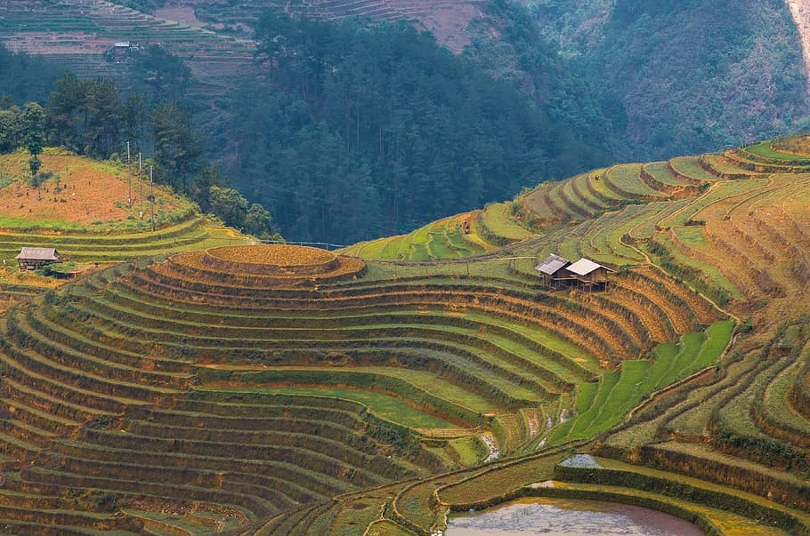 Vietnam 