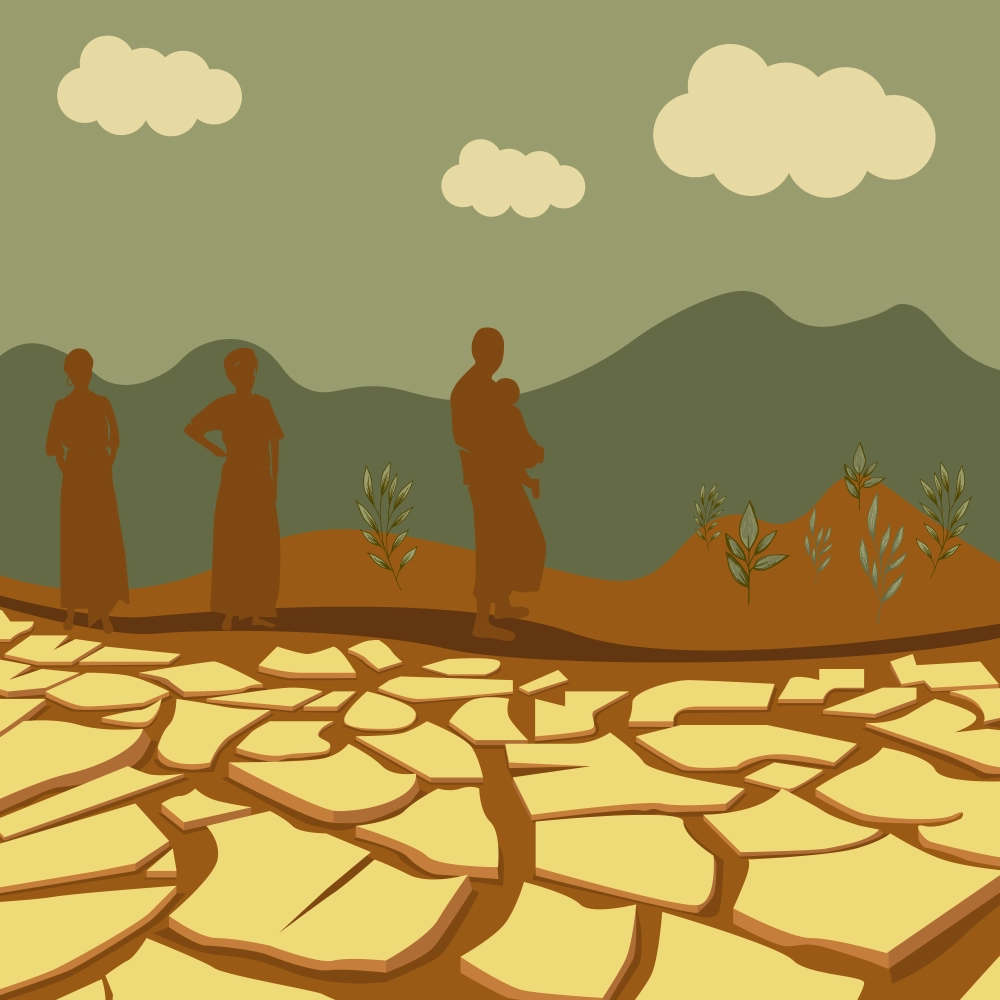 Humanitární krize v Etiopii 2008, 2009, 2016